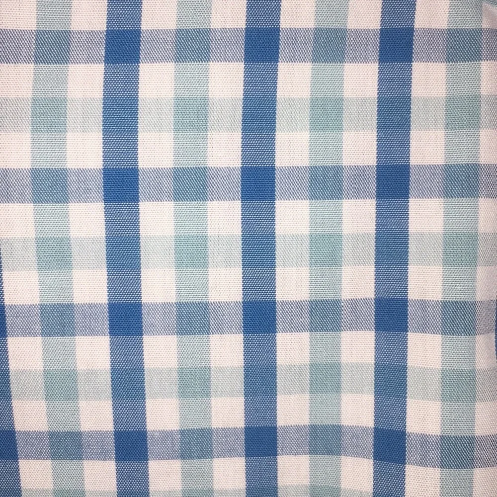 Banana Republic Blue Check Button Down